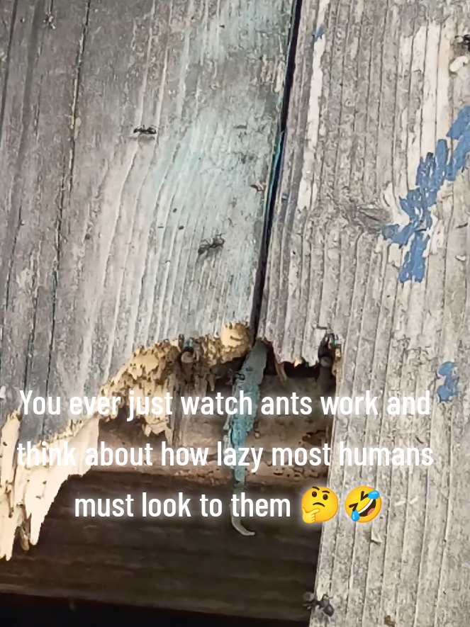 @LukesViews&News