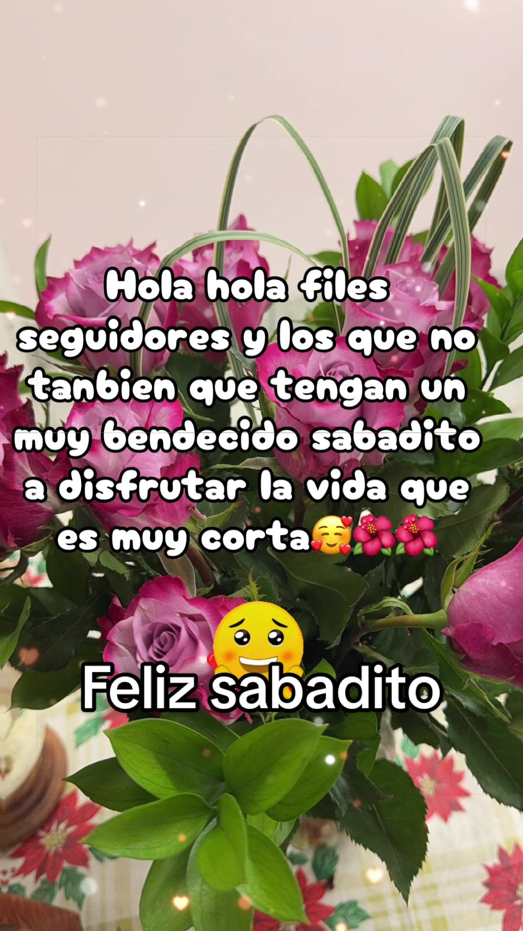 @🌺Chaparrita🌺