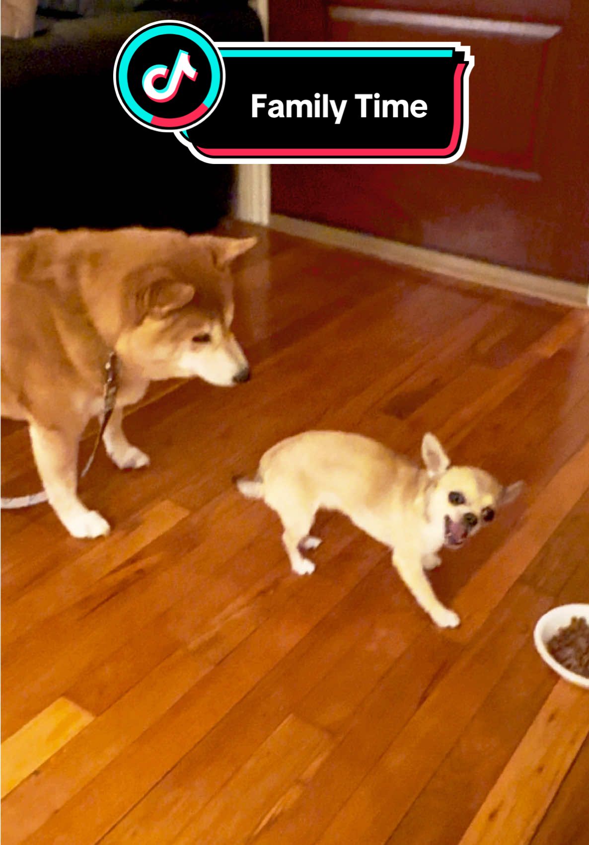 @MimiKyu