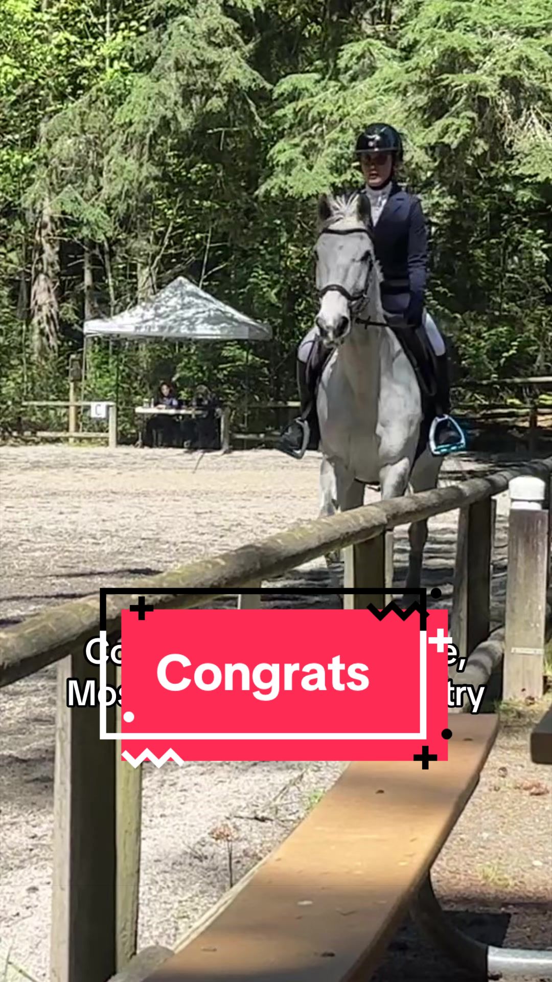 @BlueStarEquestrian