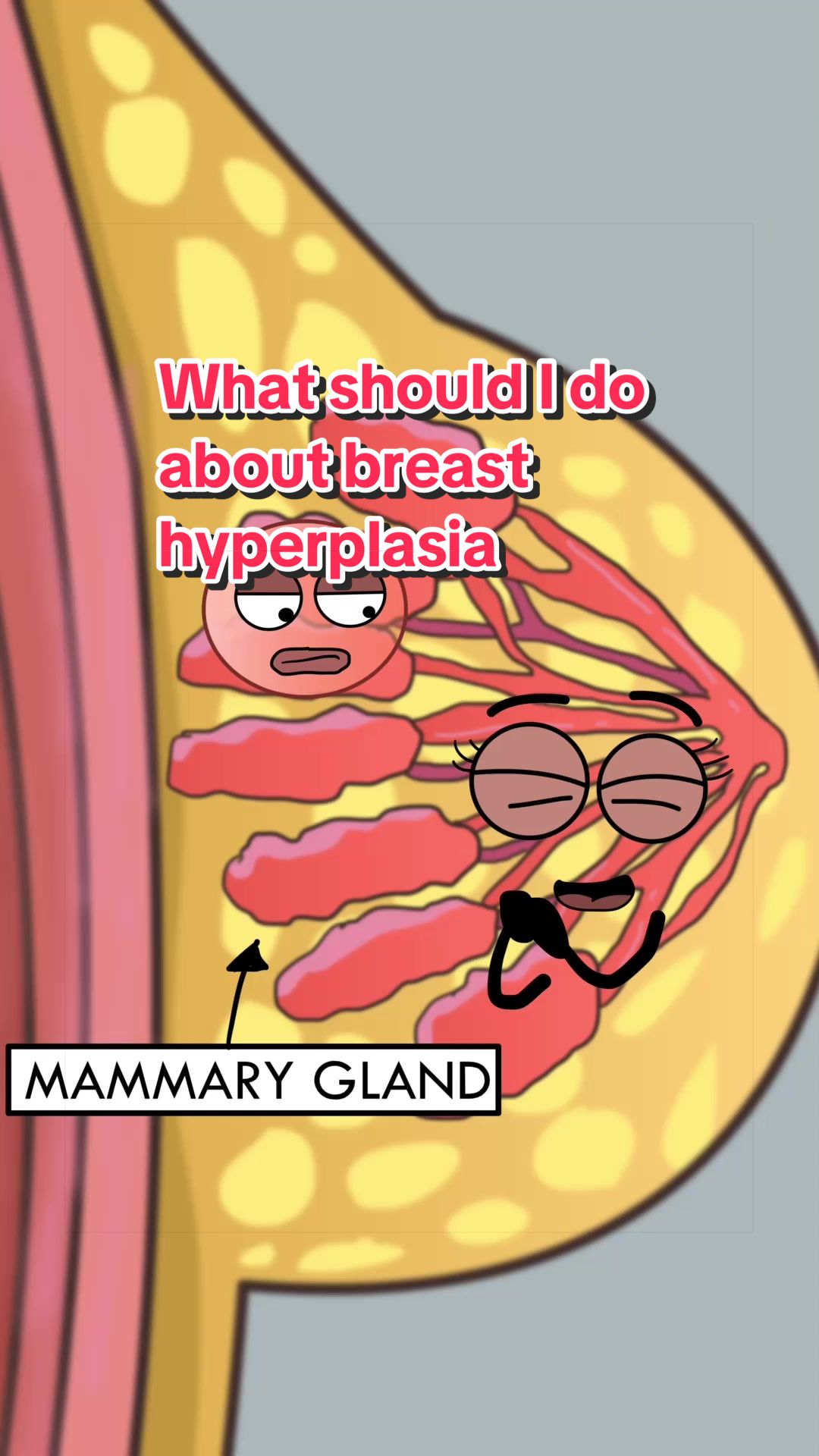 @Funny Animations