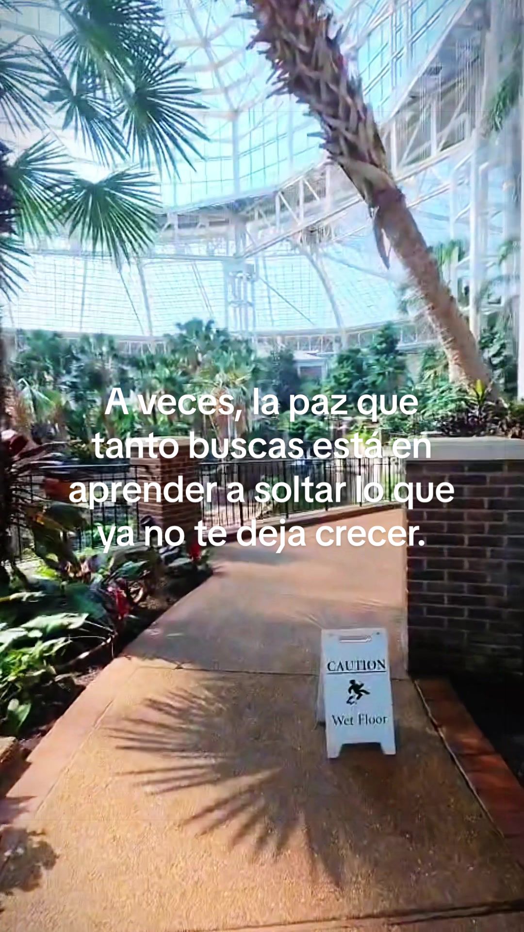 @blanca quirino