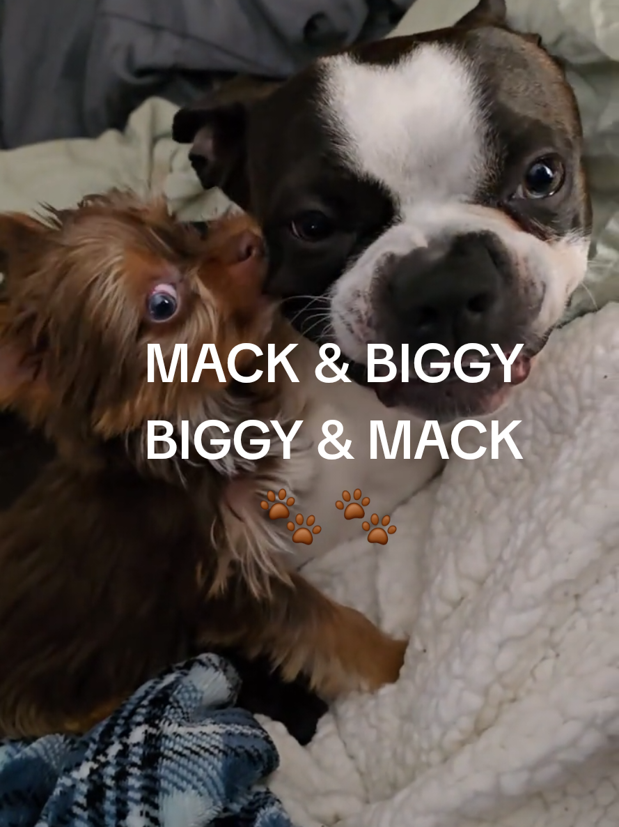 @Amy ❤️🦿