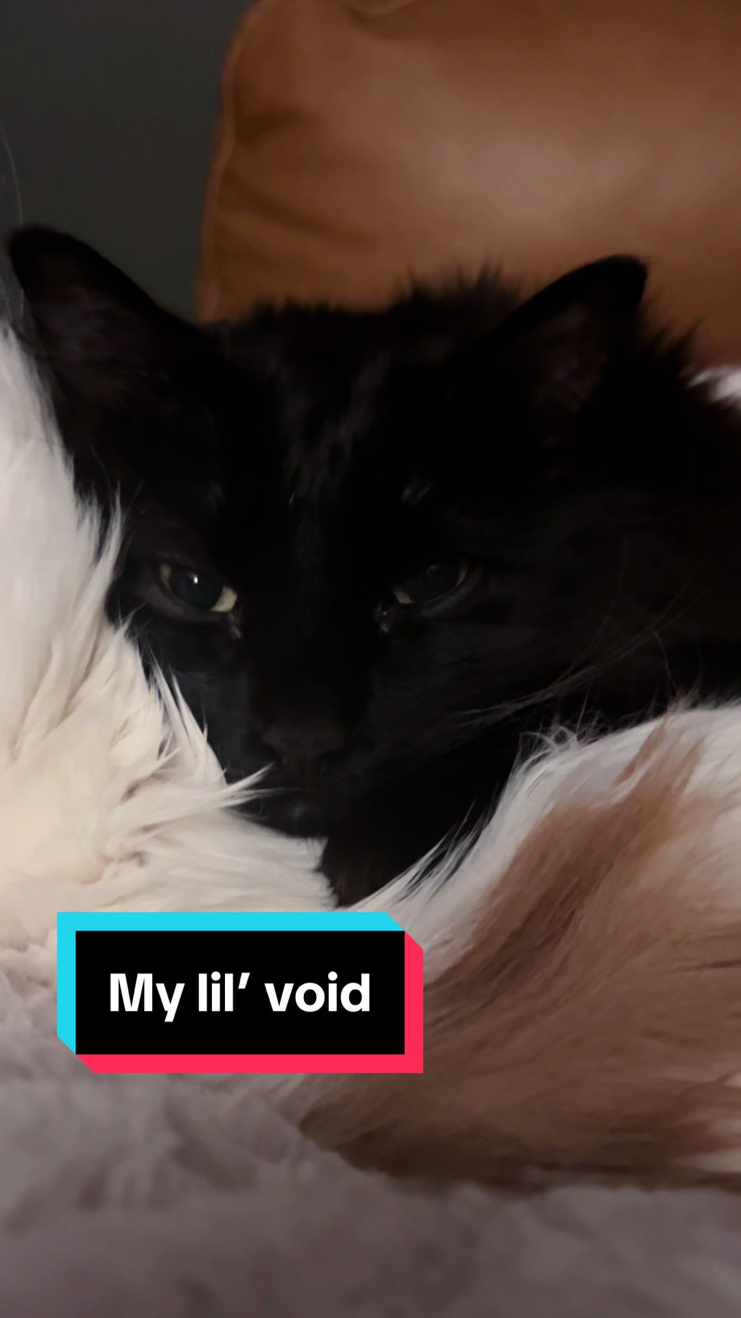 @Niki