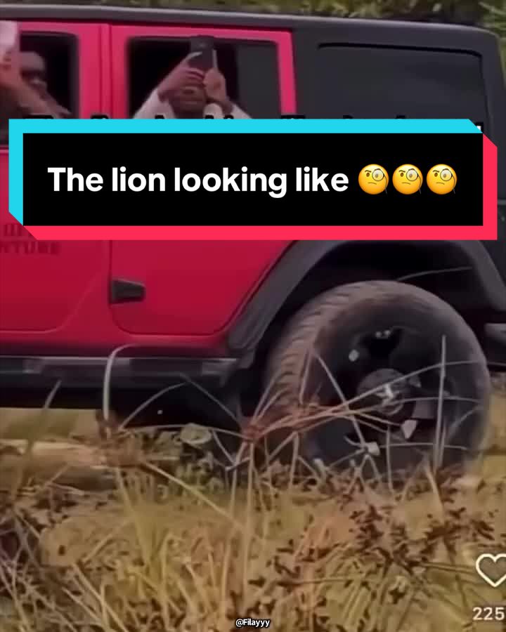 @Filayyyy