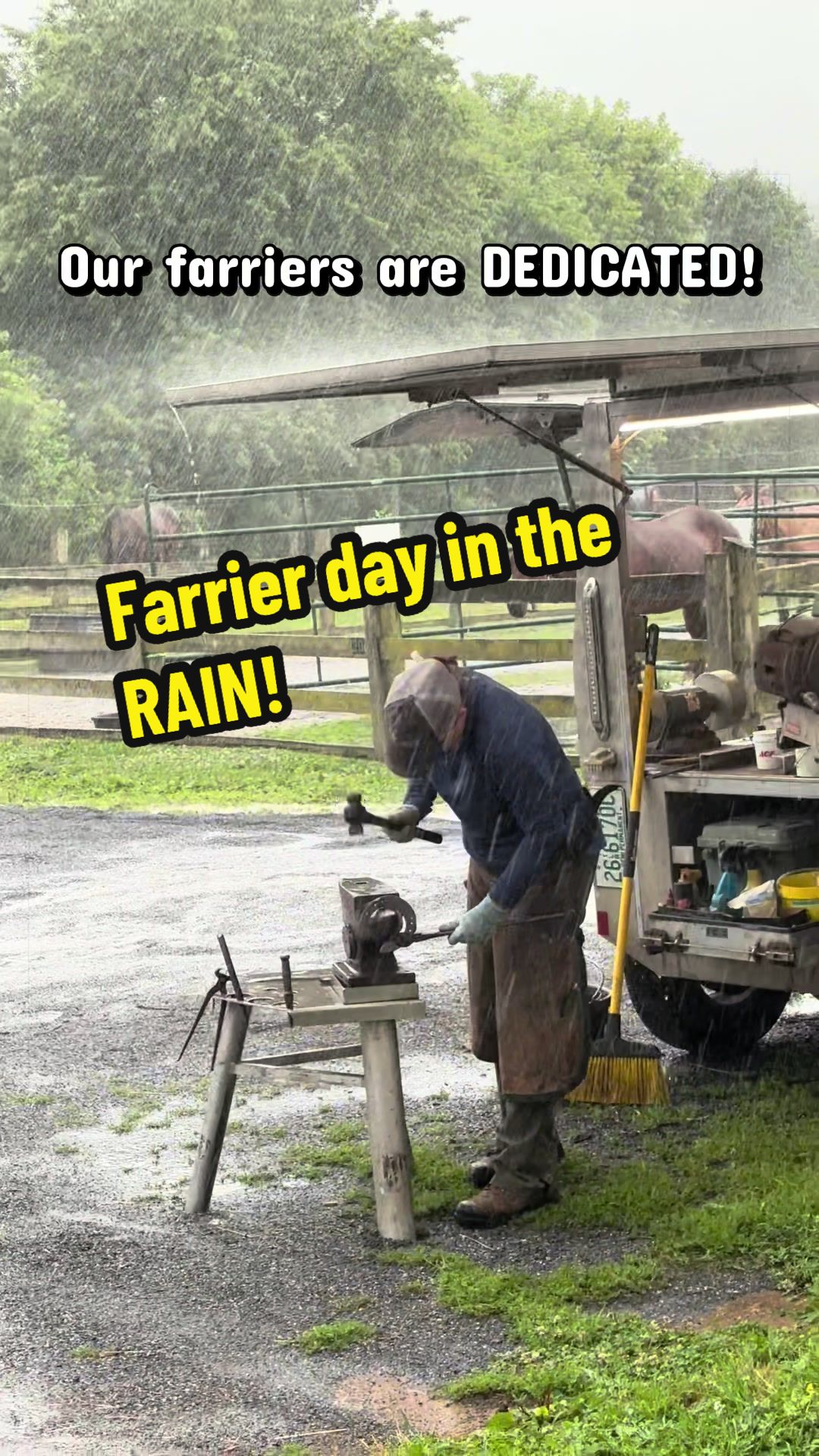 @Days End Farm Horse Rescue
