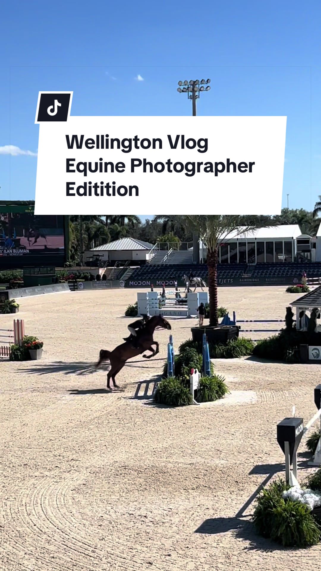 @Aubray | Equine Photographer