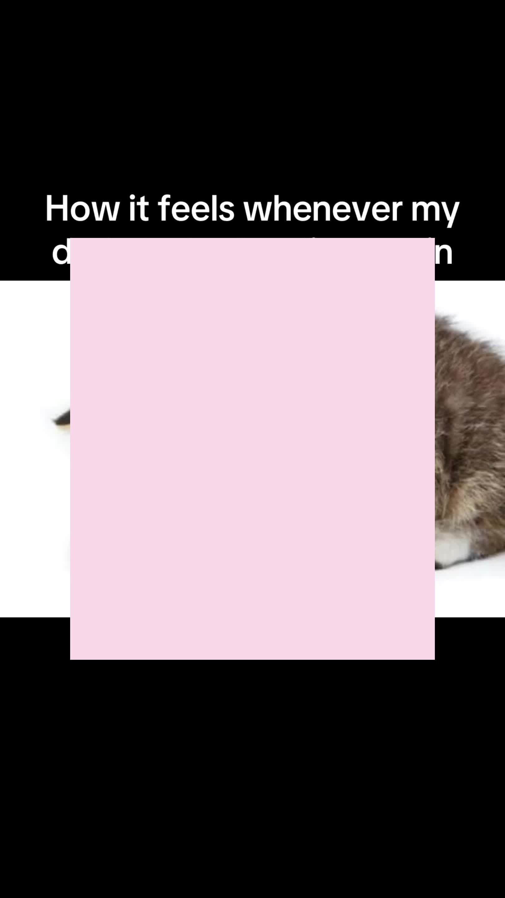 @ᥫ᭡