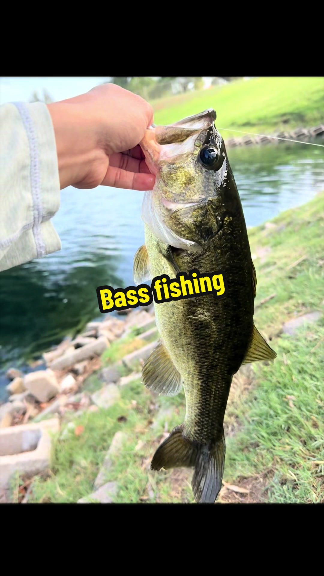 @Luu Nguyen Fishing