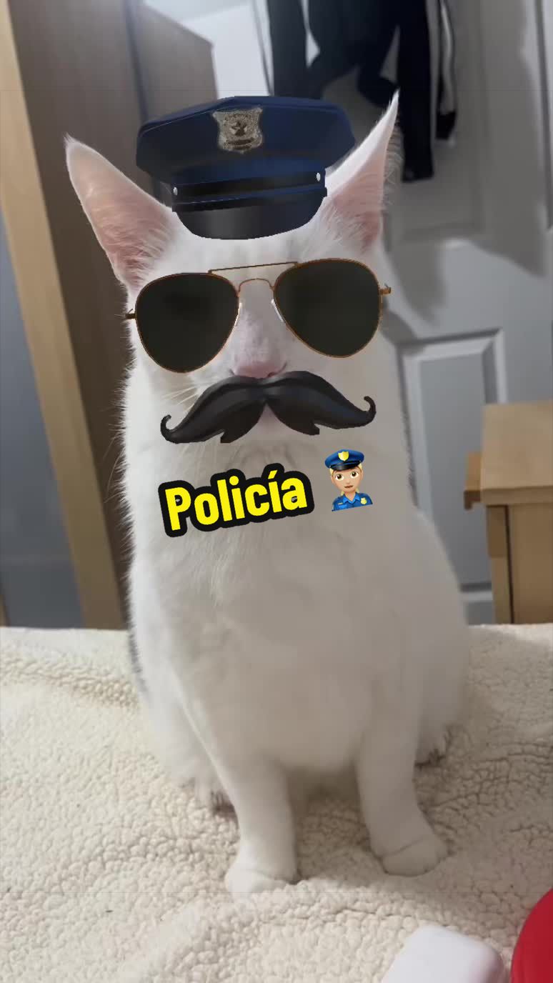 @🦖 MEOWassic CAT😺