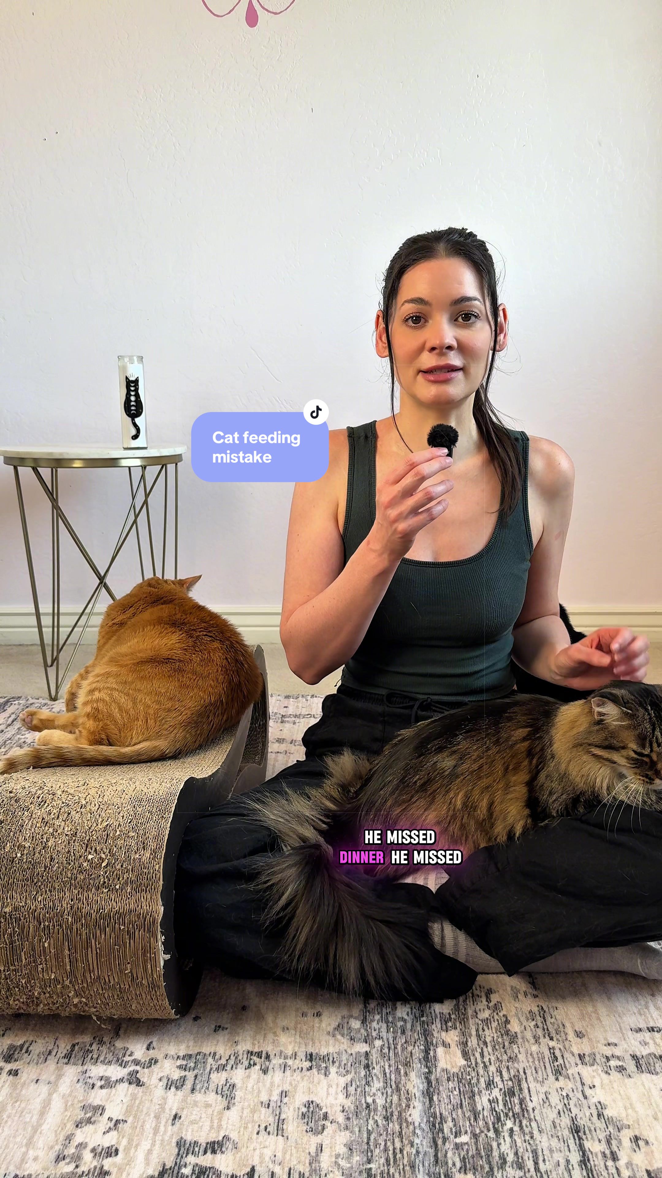 @Feminist Kitty | Cat Nutrition
