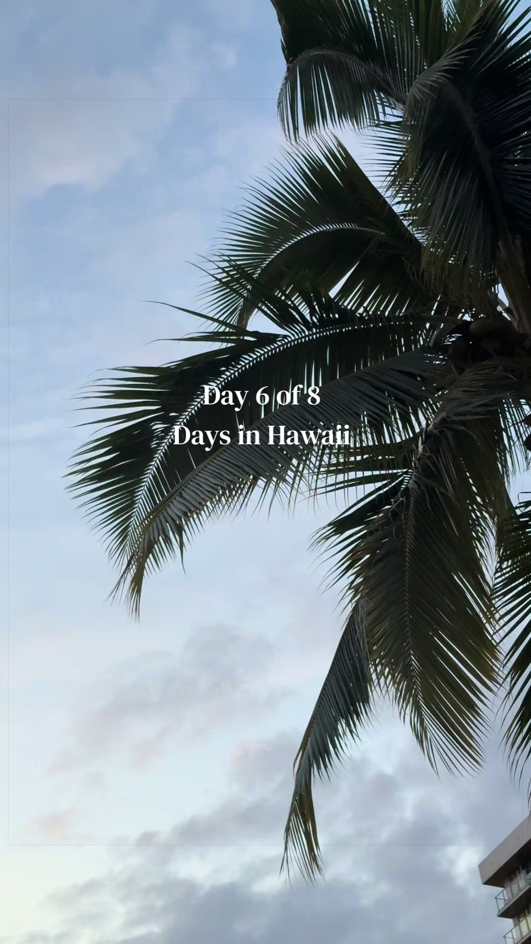 @Nicole | Travel & Life