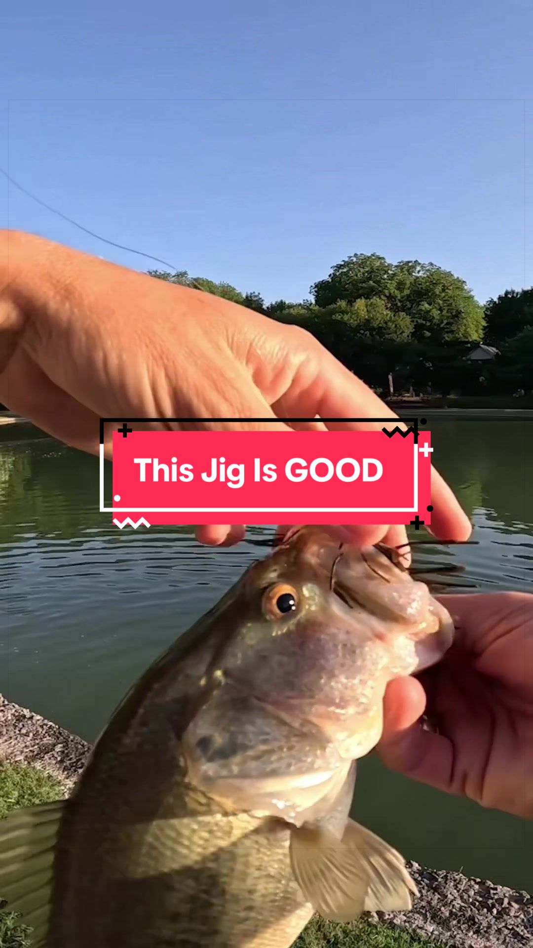 @TylersReelFishing