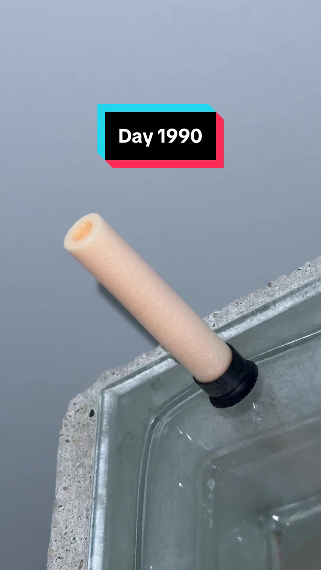@The Immortal Nerf Dart