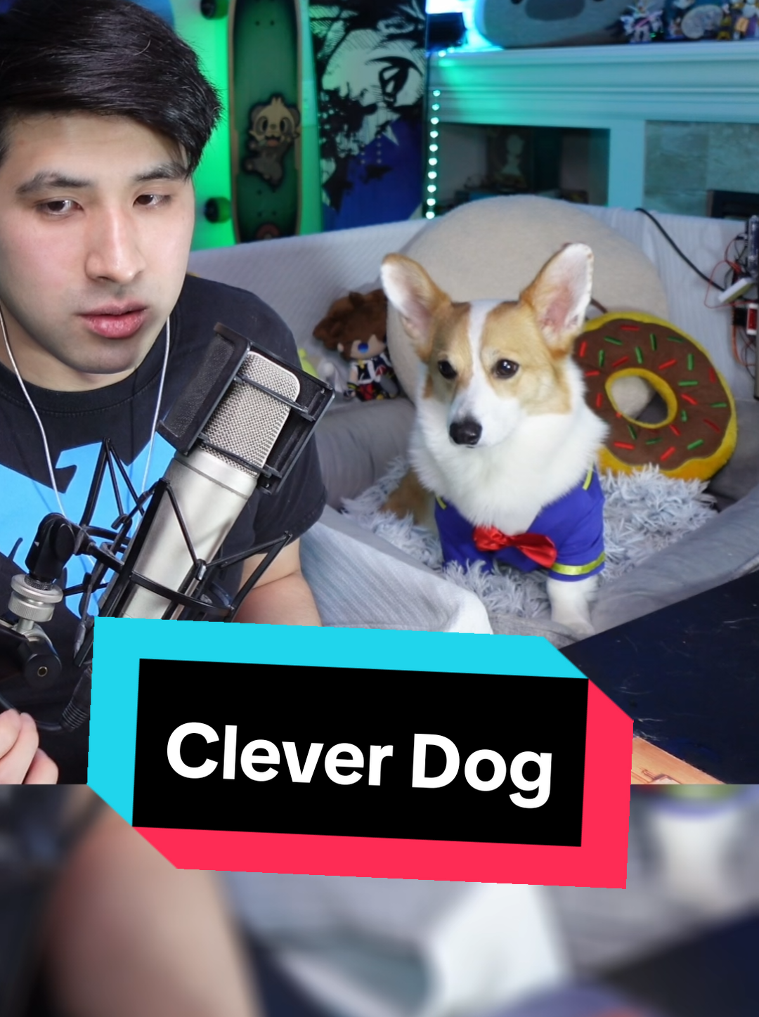 @Protocorg | Twitch Streamer