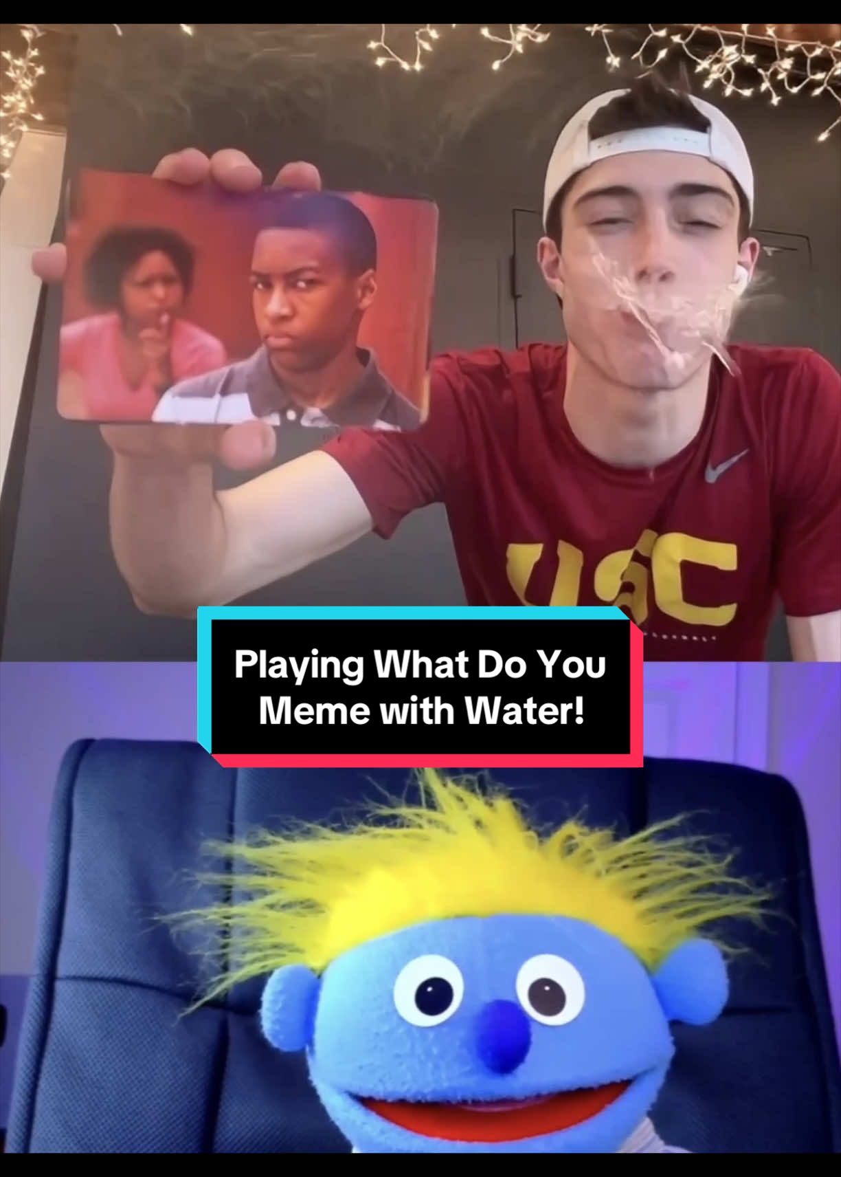 @PeterPrankster