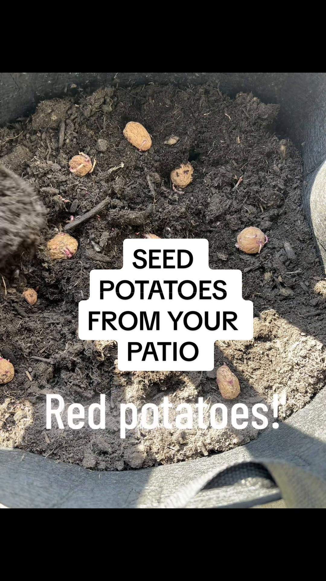@greengirlgardens