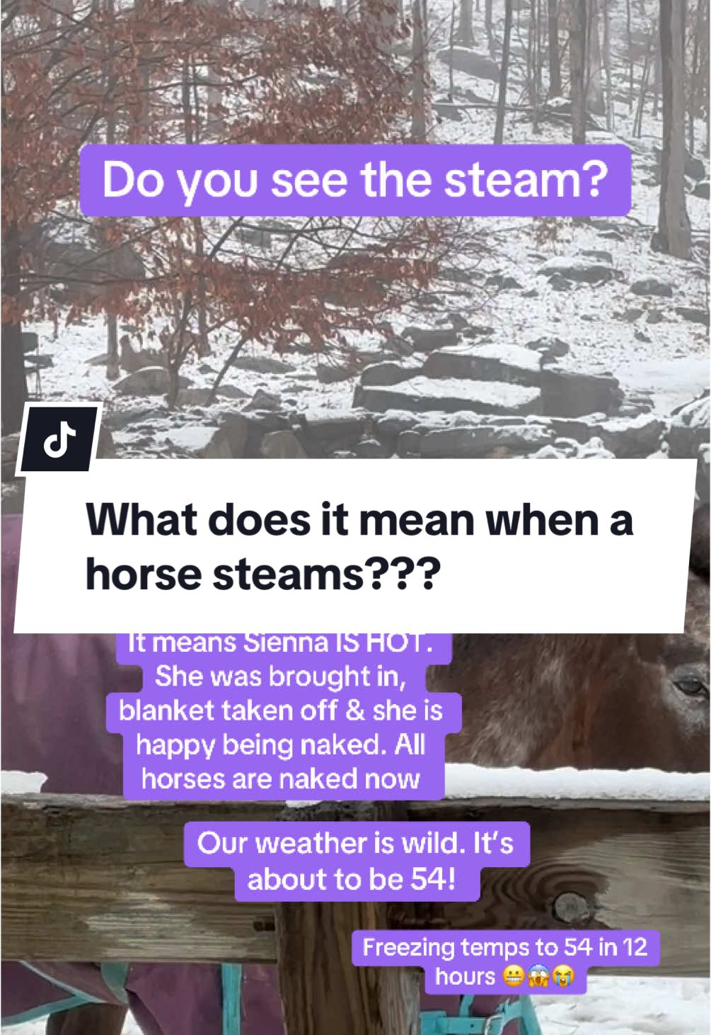 @itiswellstables