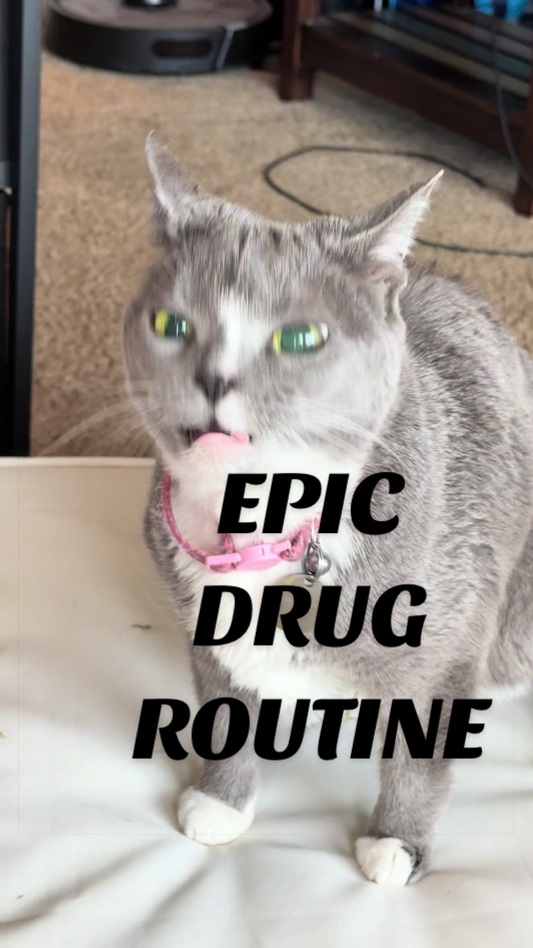 @goosie.gurl