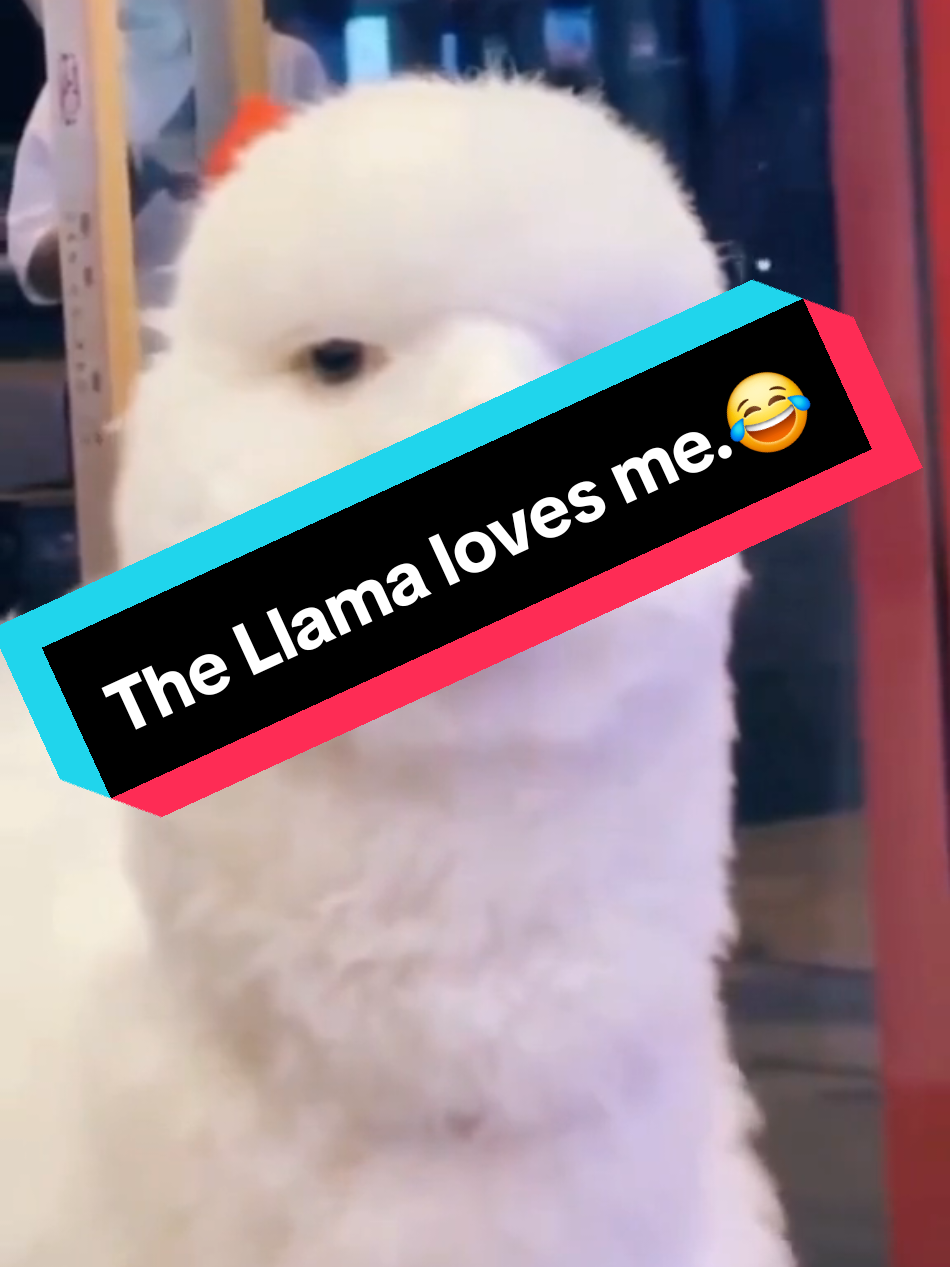 @Tom The Furry Hat Guy