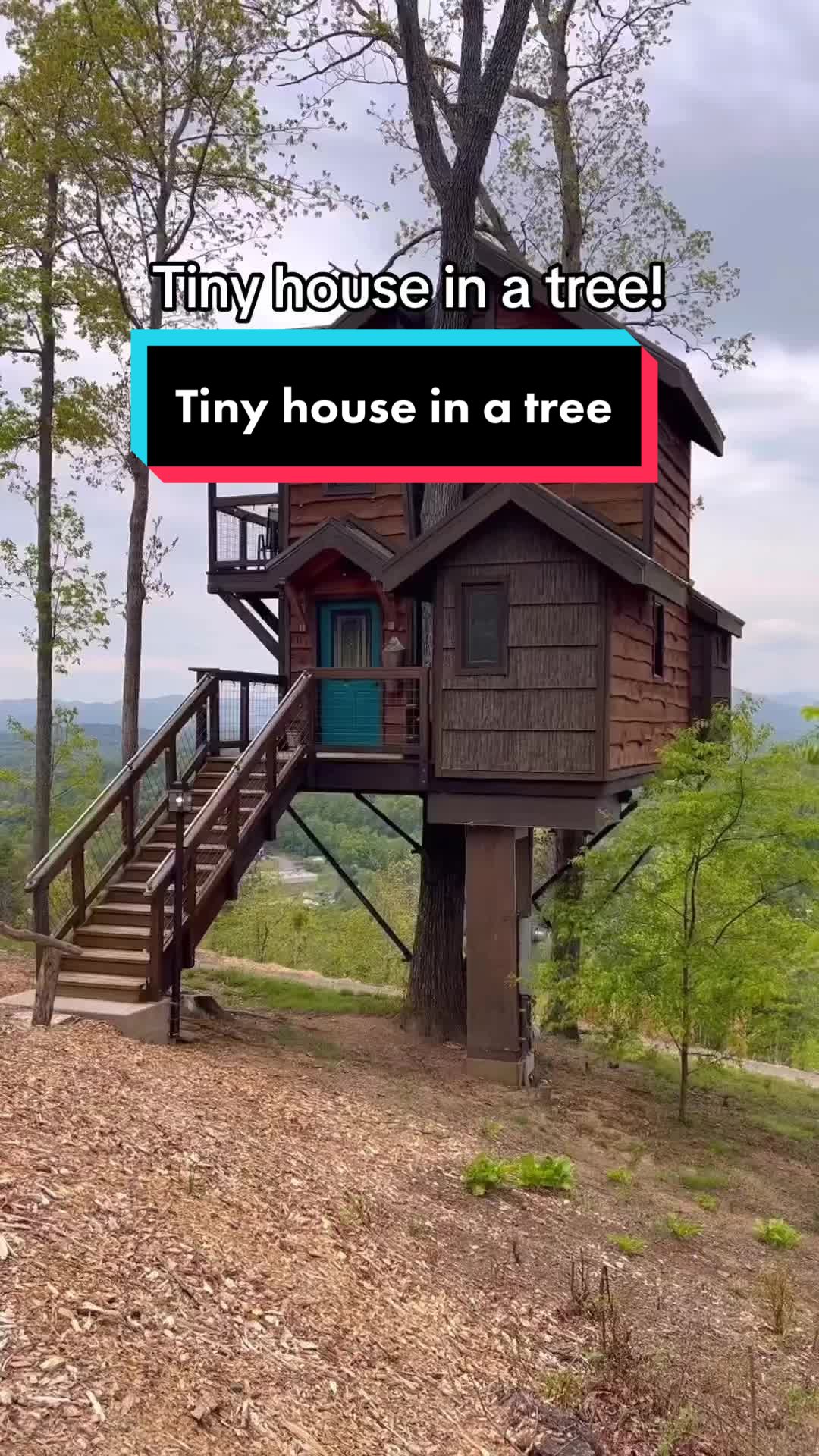 @tiny house