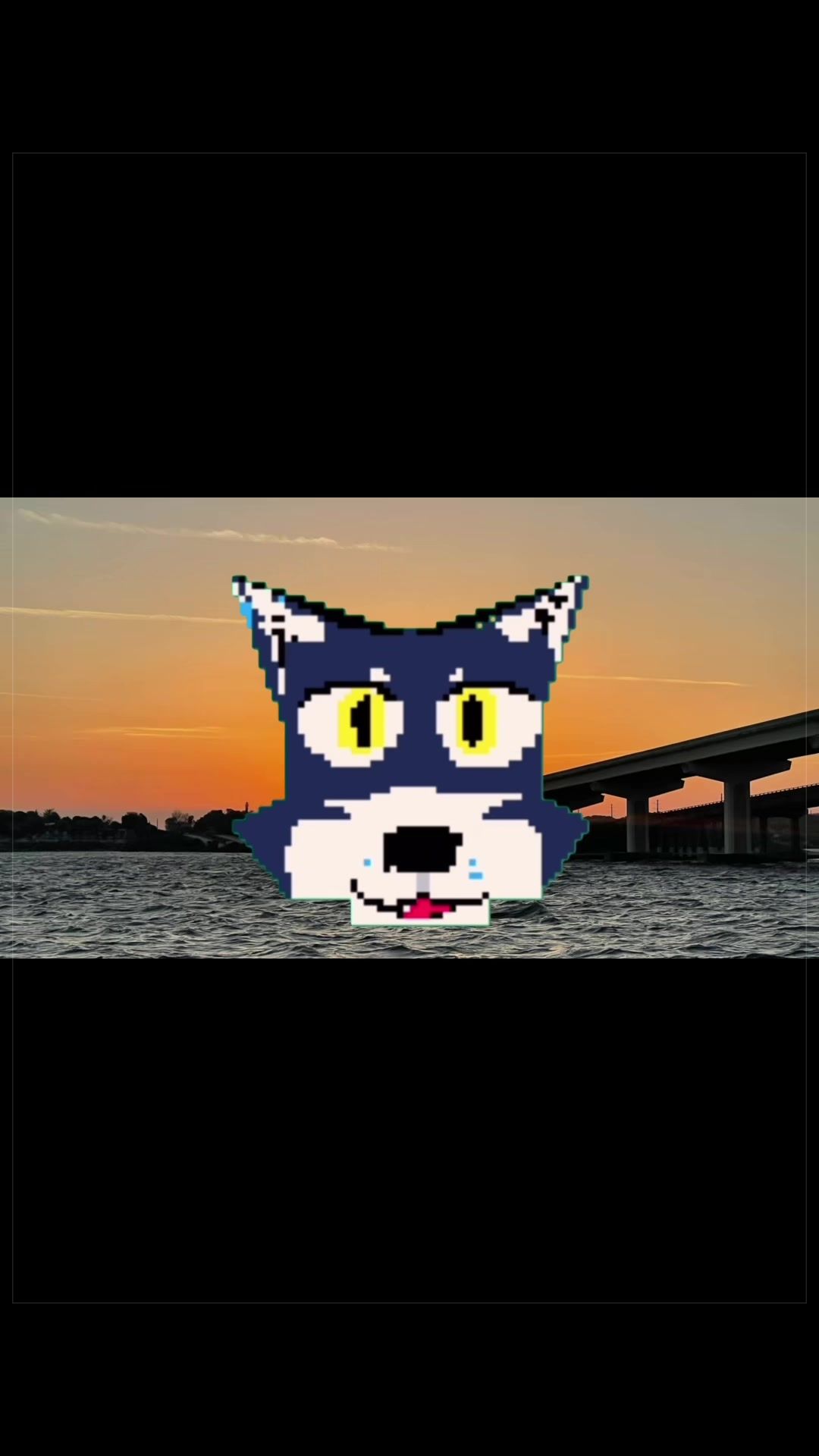 @⭐️KiwiFurSure⭐️
