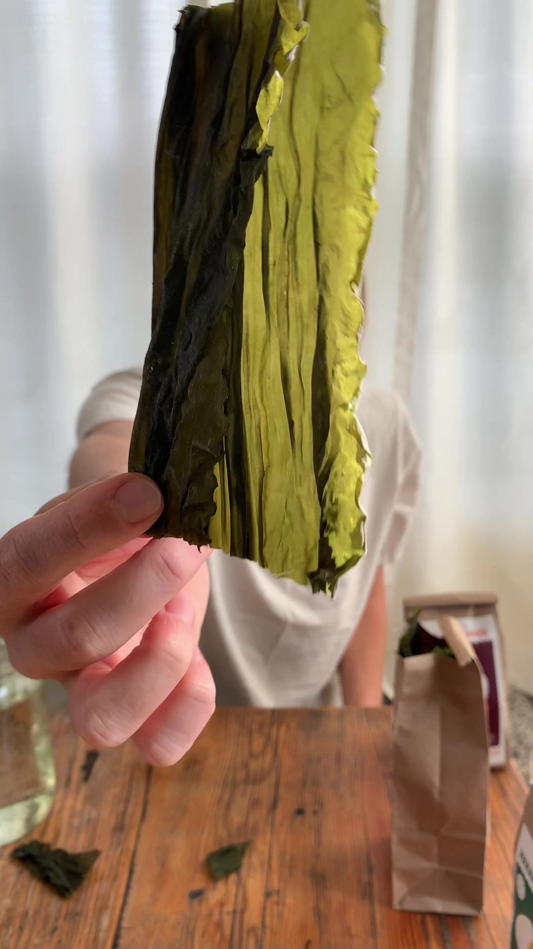 @Daybreak Seaweed
