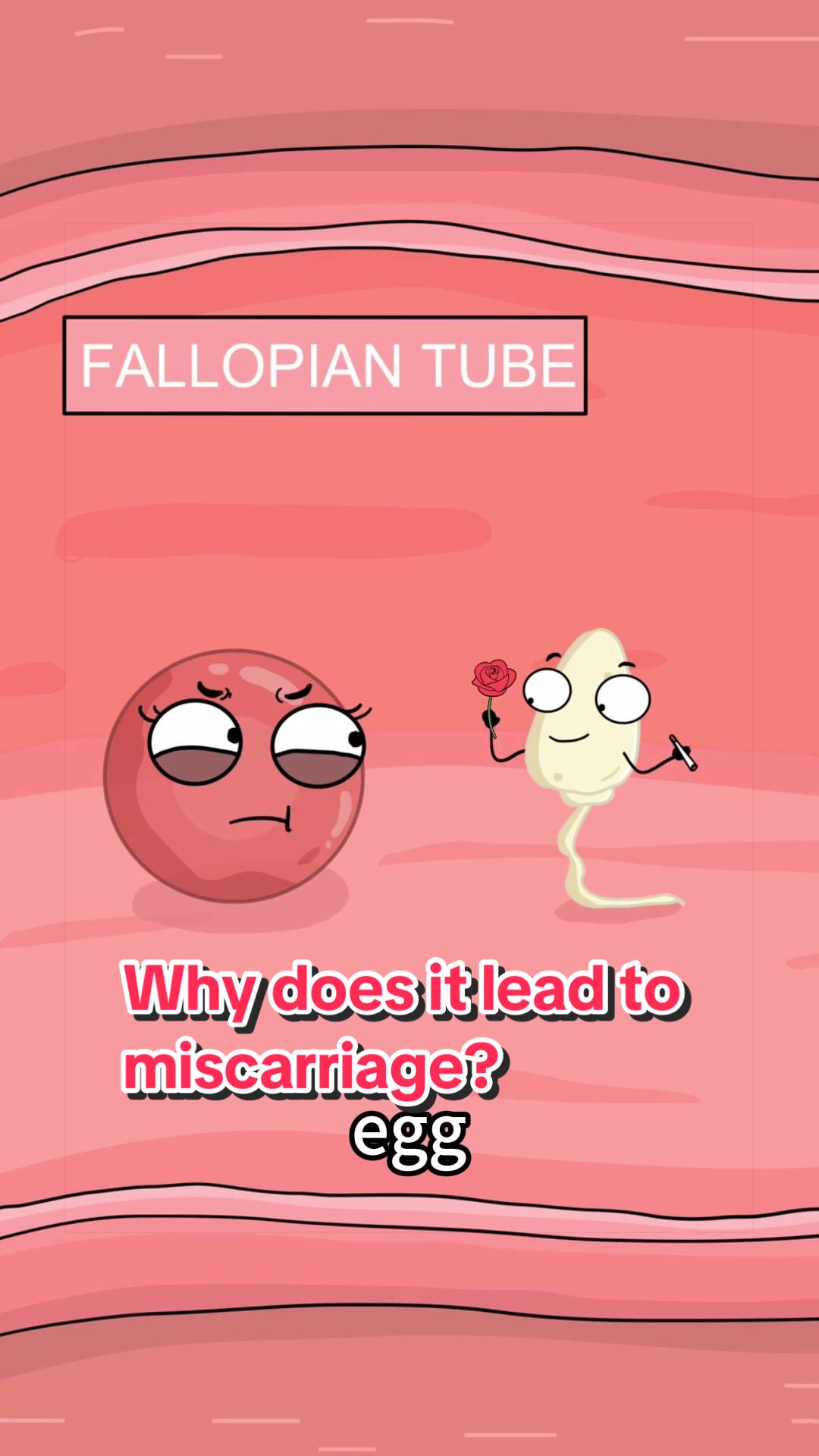 @Funny Animations