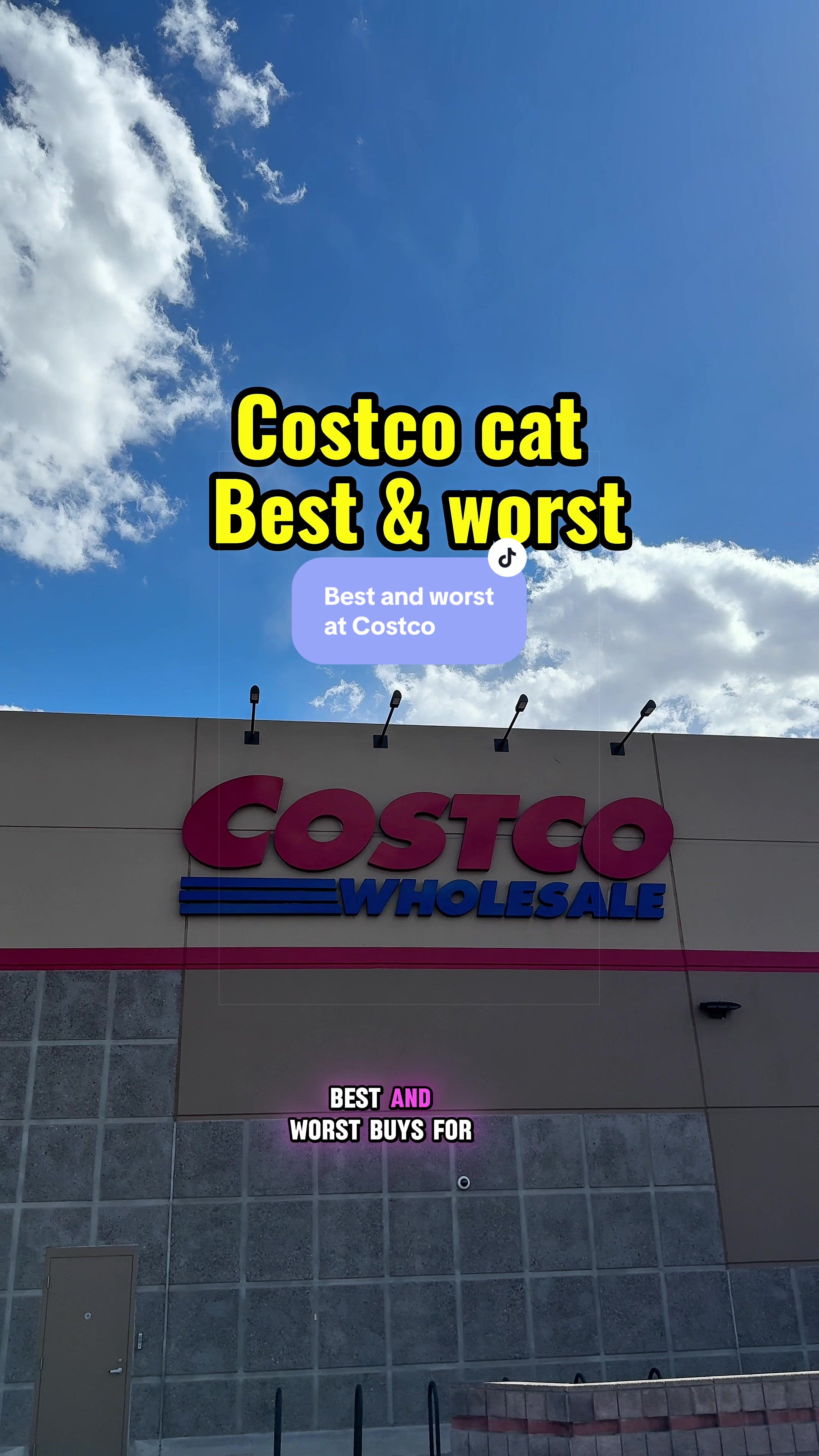 @Feminist Kitty | Cat Nutrition