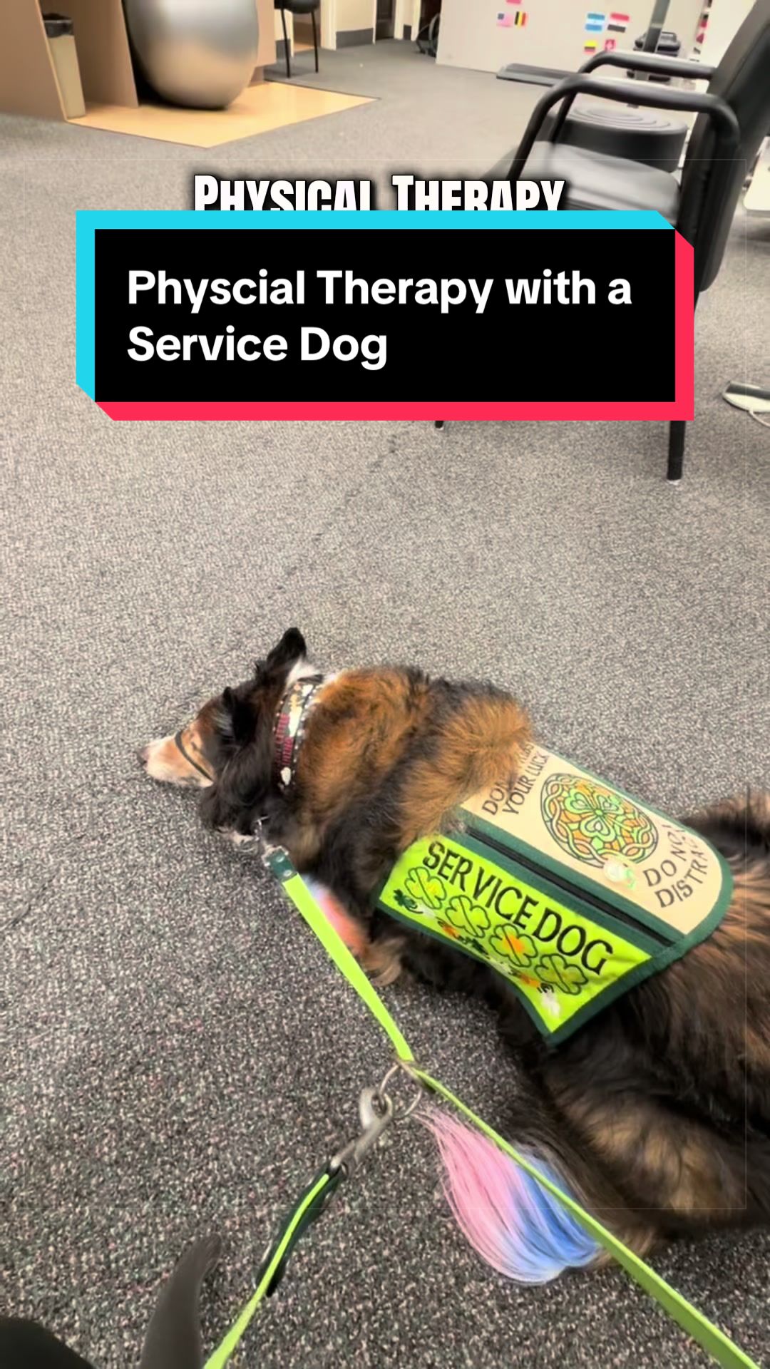 @Dakota & Pups