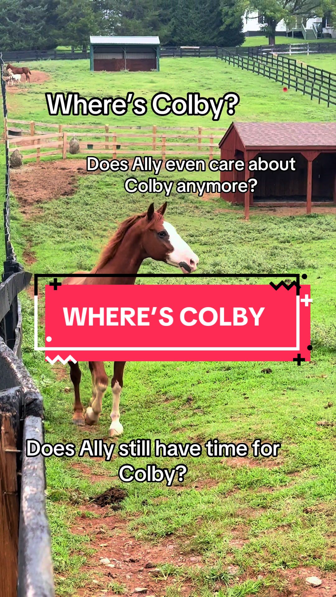 @Colby’s Crew Rescue