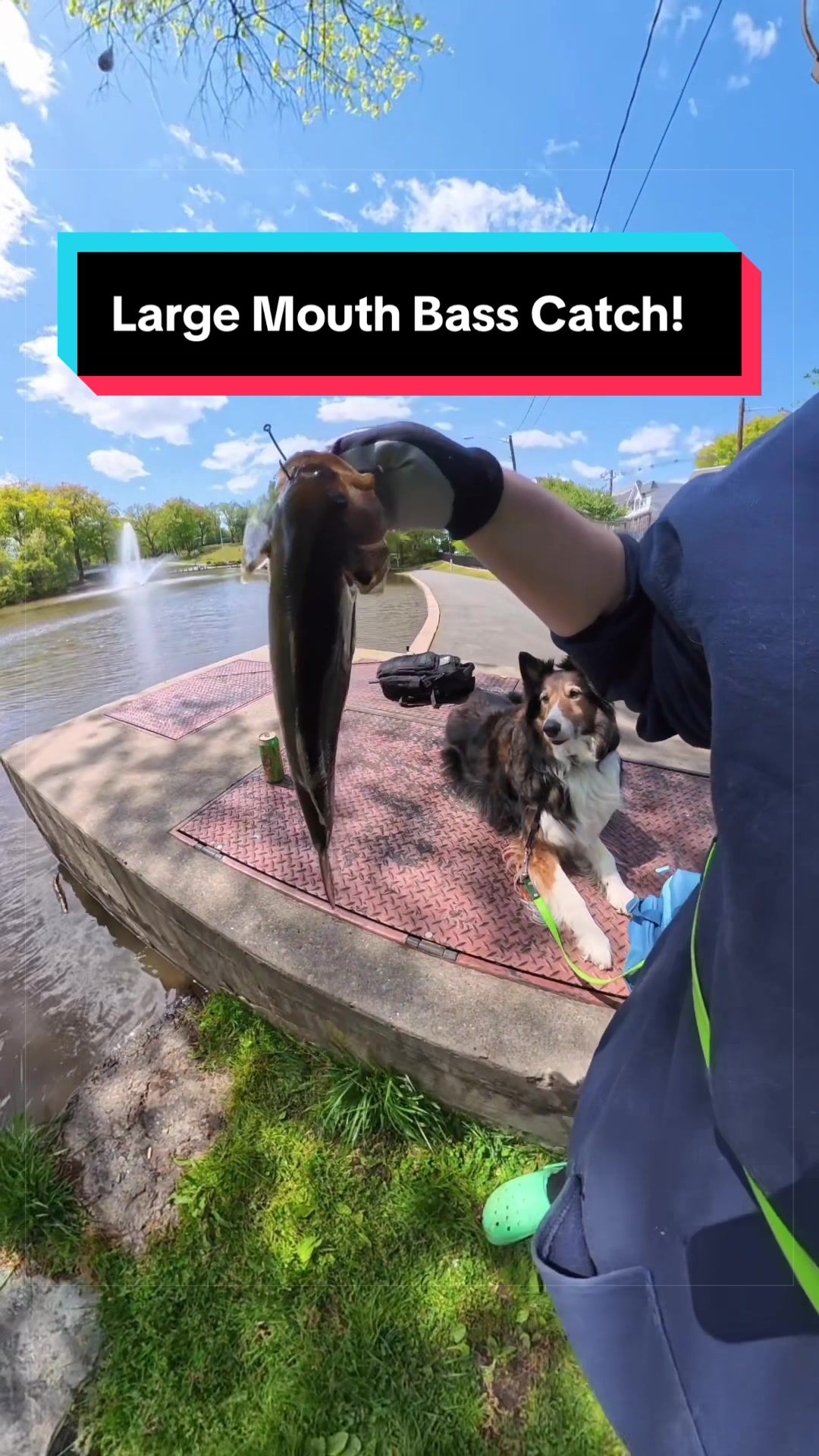 @Dakota & Pups