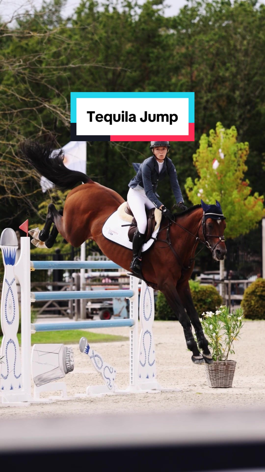 @Dalman Jump Co
