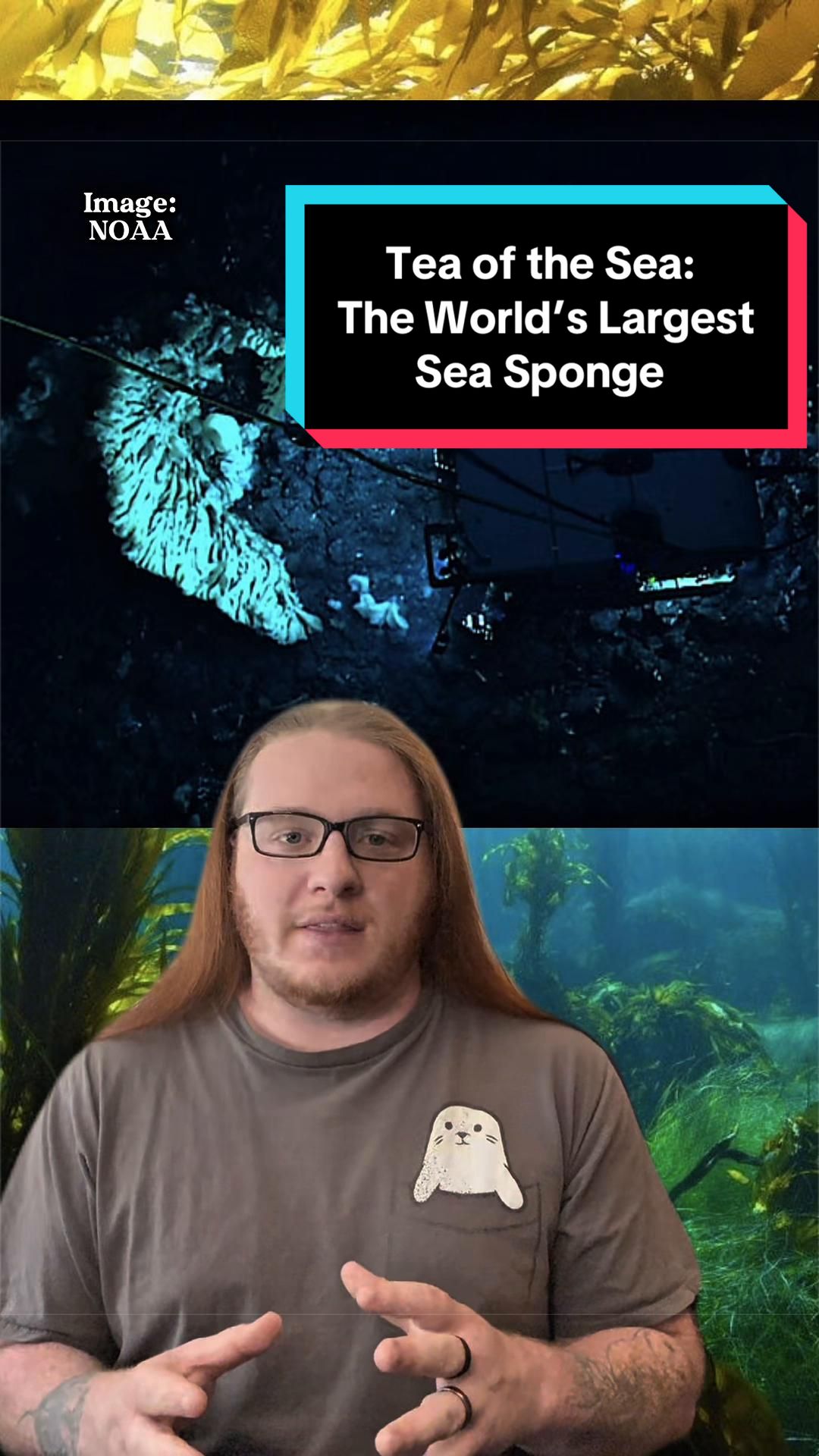 @Paleopedia