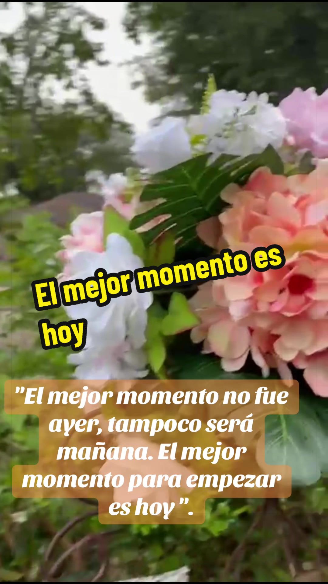 @Adelita Cantu
