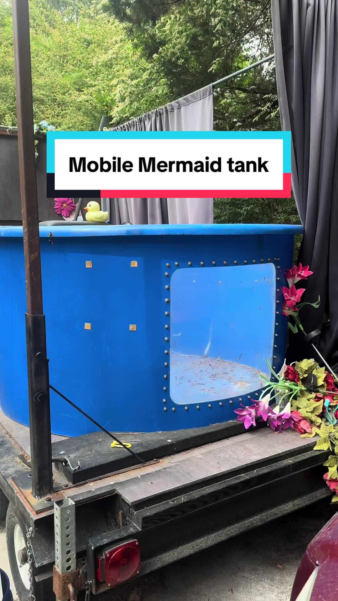 @HaleyMermaid