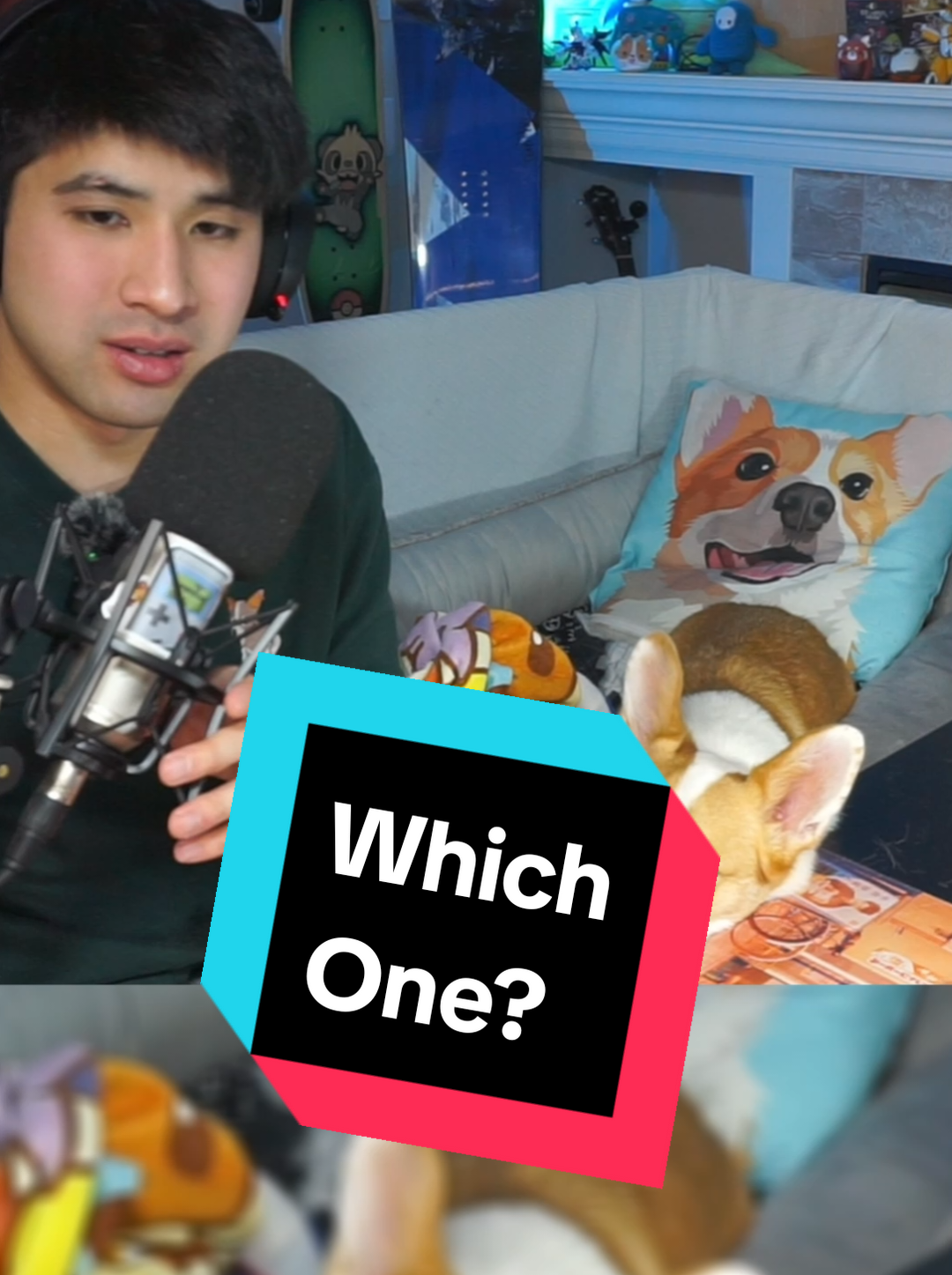 @Protocorg | Twitch Streamer