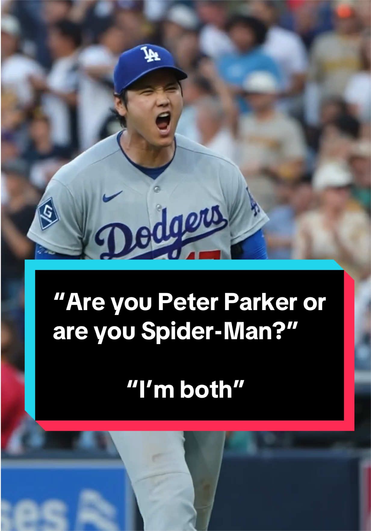 @MLB