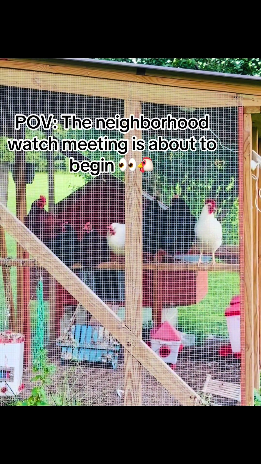 @Resistance Homesteaders