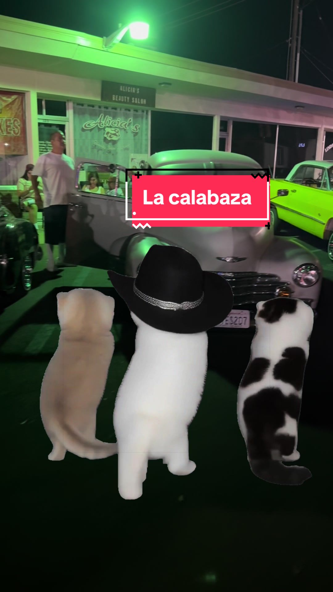 @lowriderculturelife