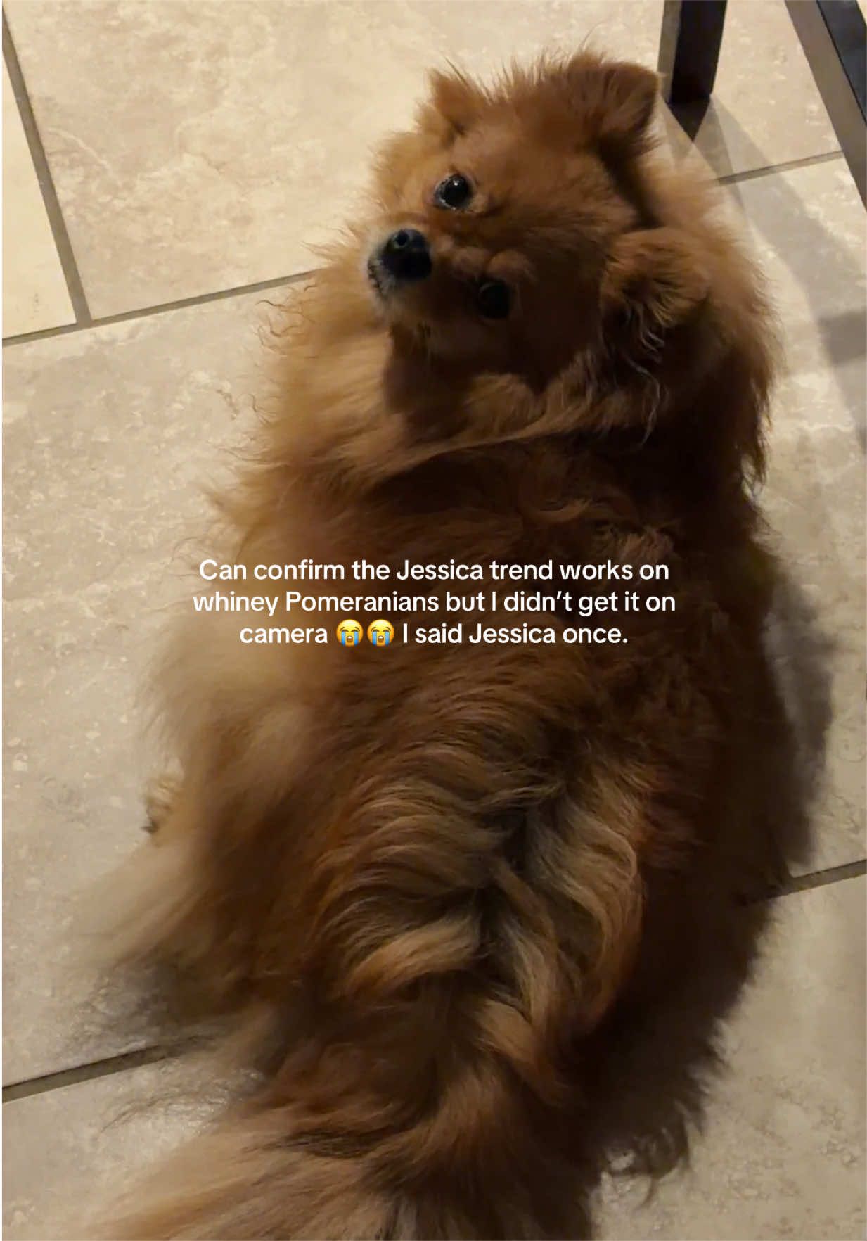 @mimi & momo