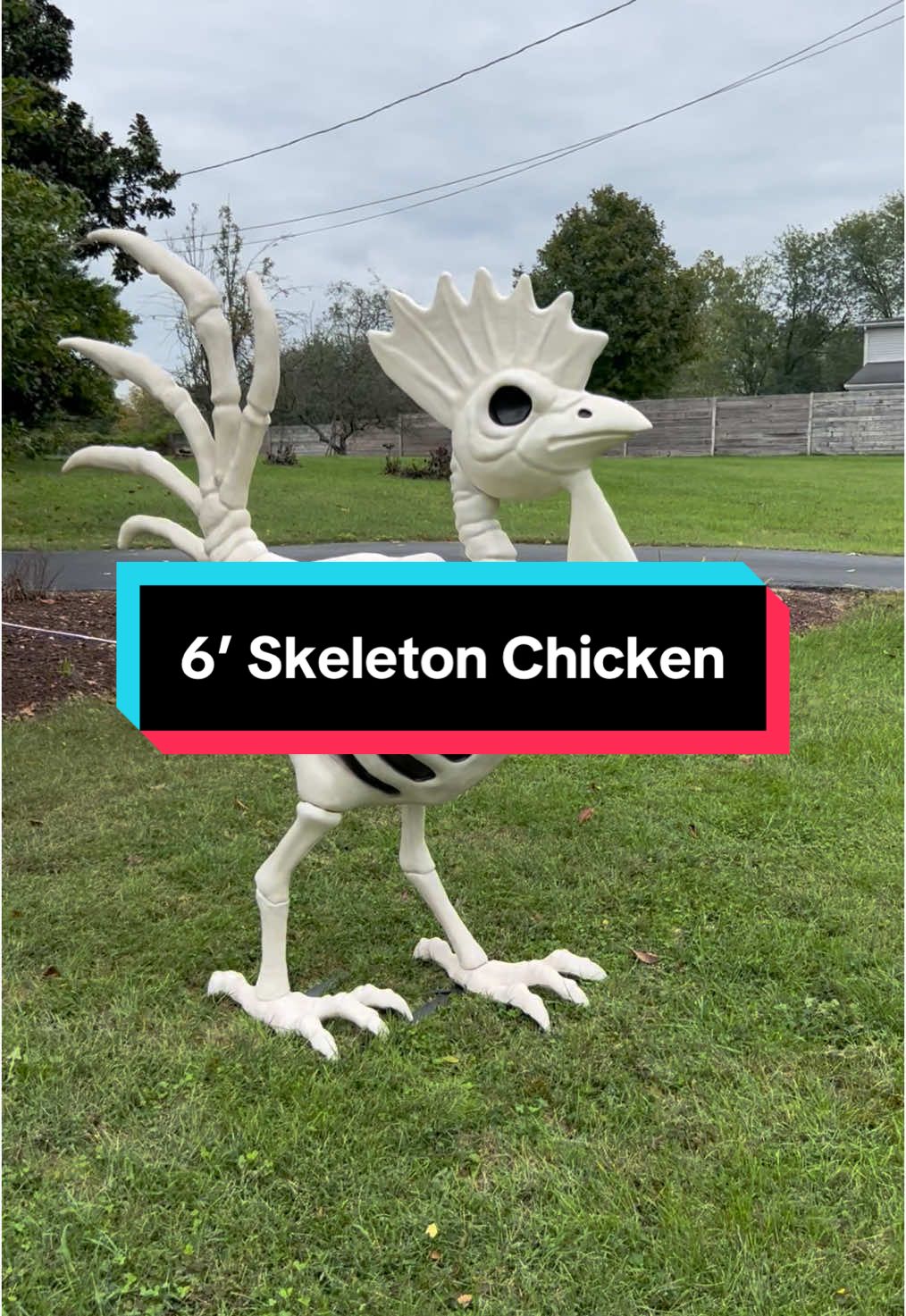 @FeralFarm