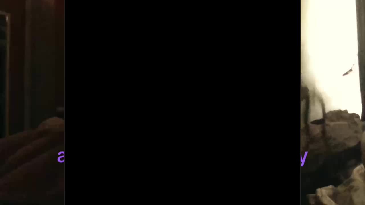 @⃟