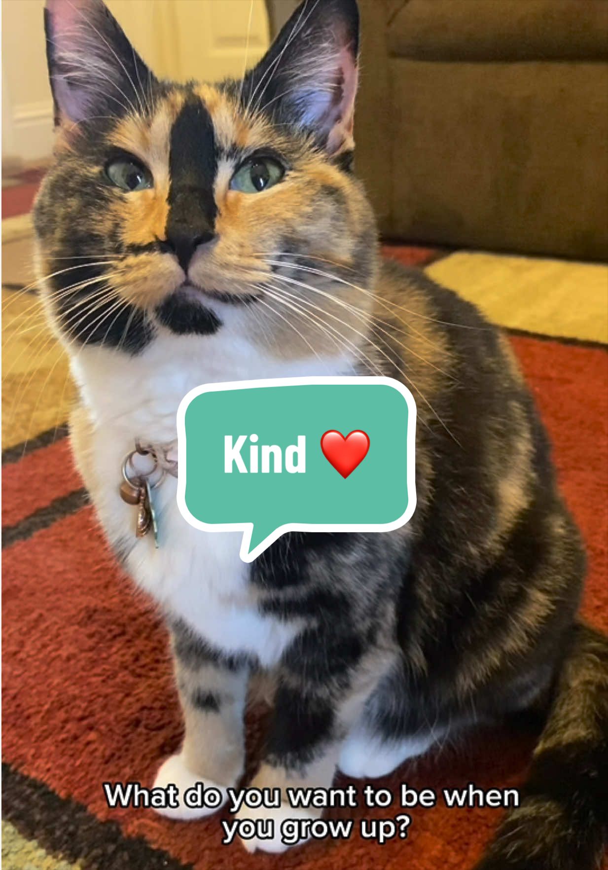 @SnickersTheSmilingCat