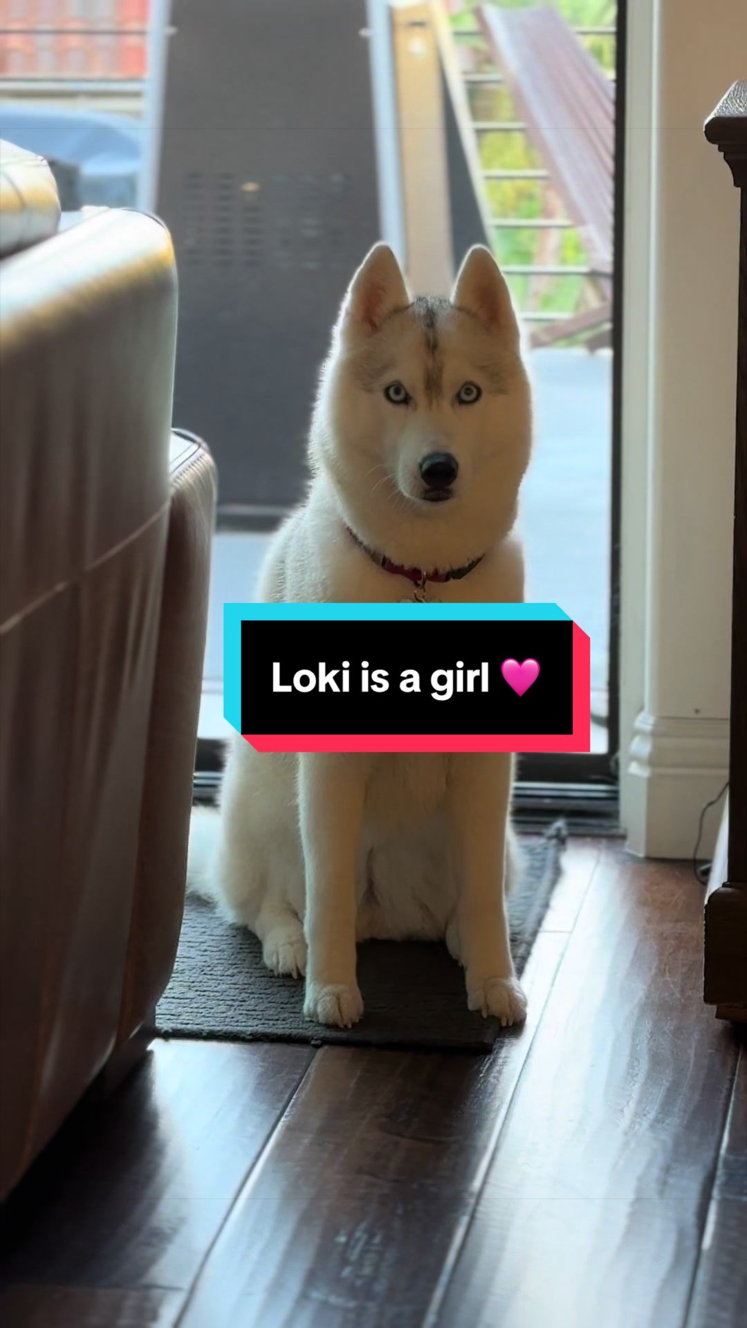 @Loki