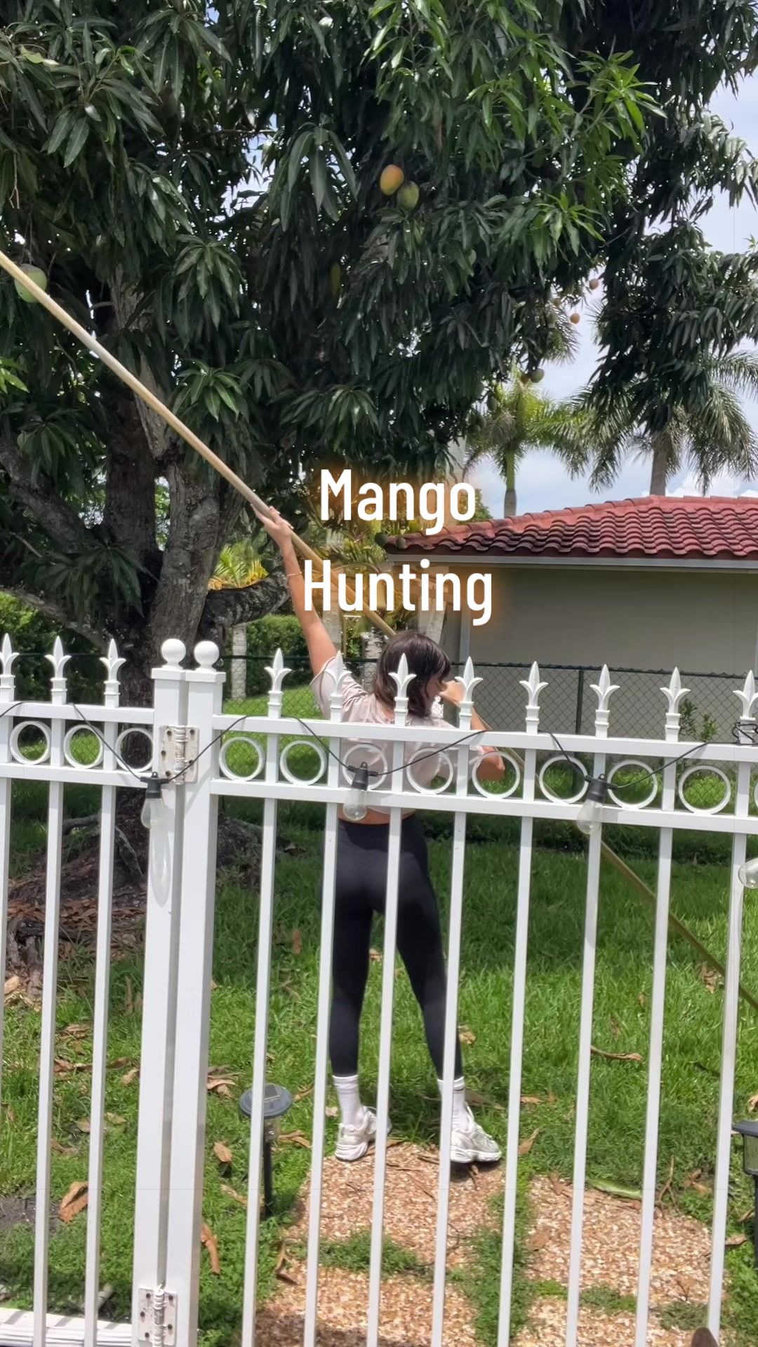 @mary_ketchup