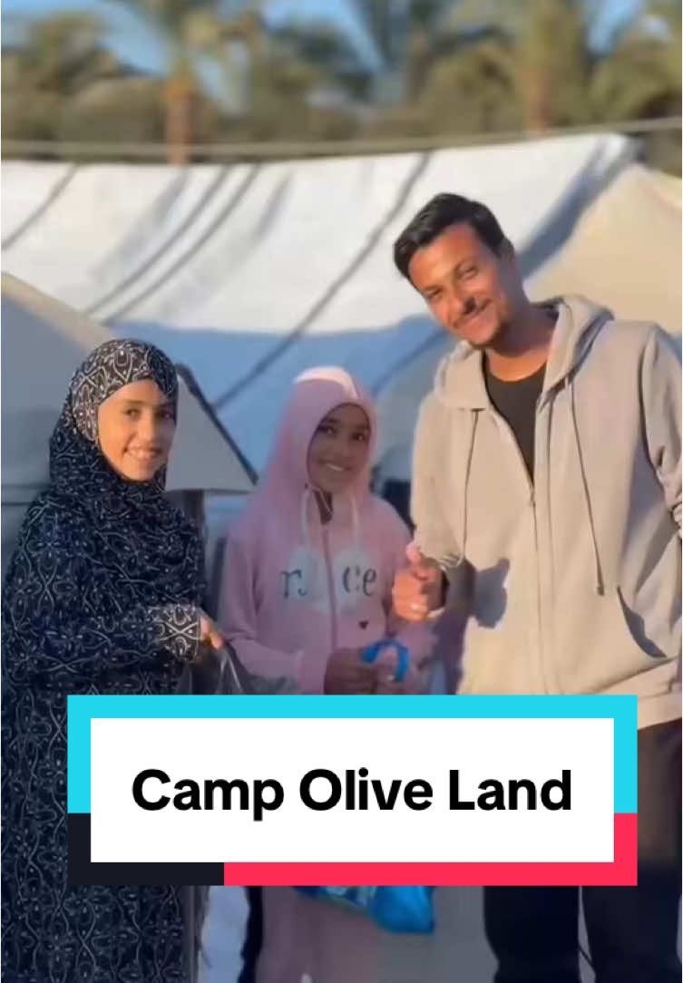 @Operation Olive Branch