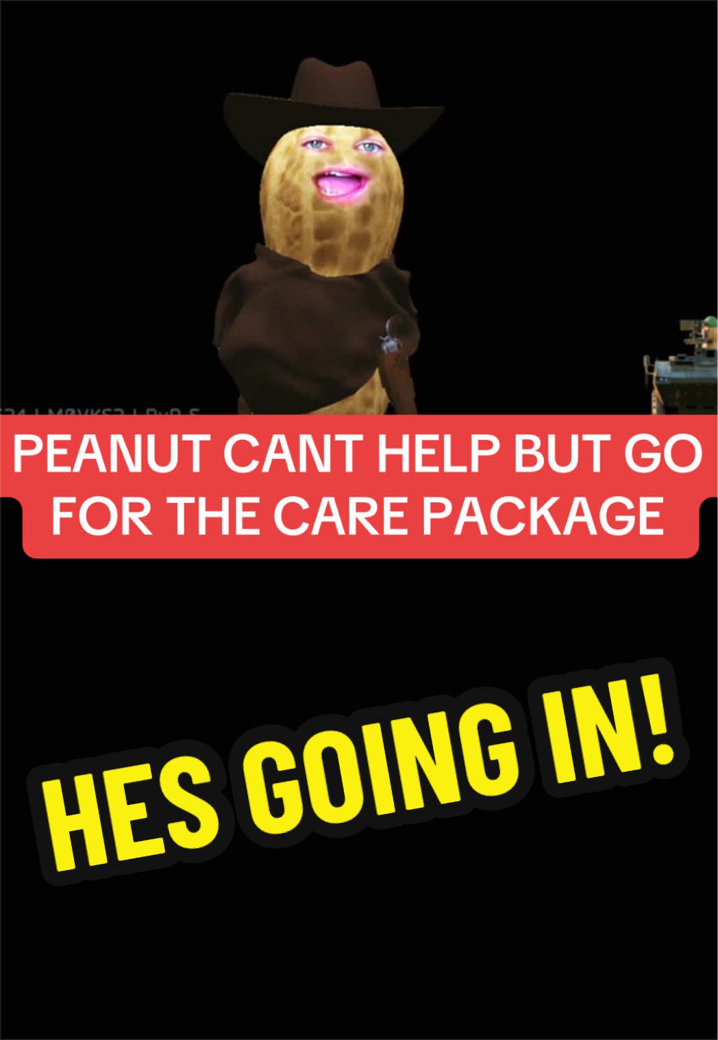 @Chronic Collector