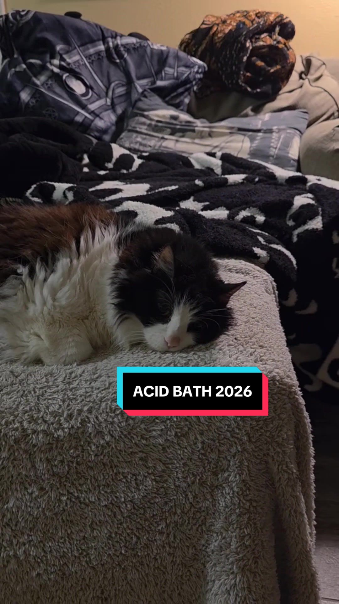@AcidBath.Official