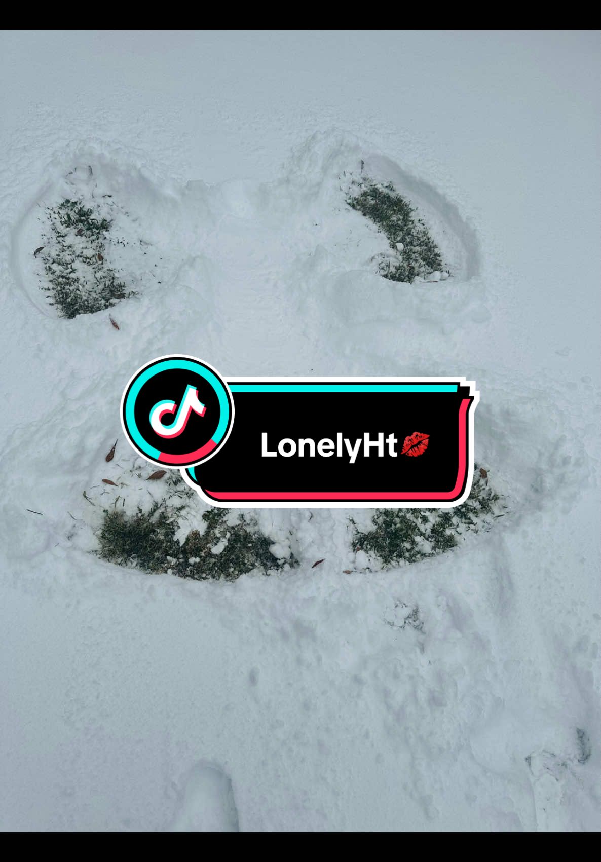 @LonelyHt409
